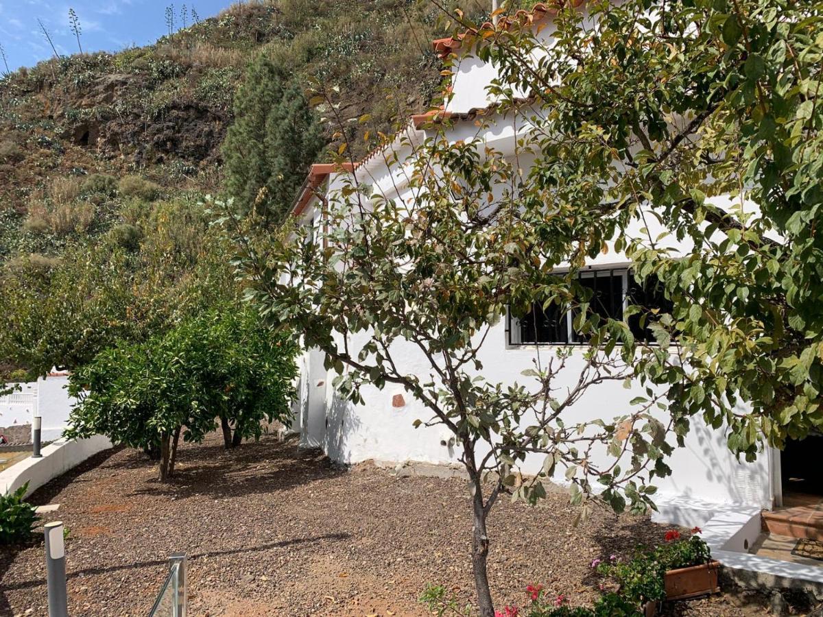 Casa Rural La Yedra San Mateo Arbejales Eksteriør billede