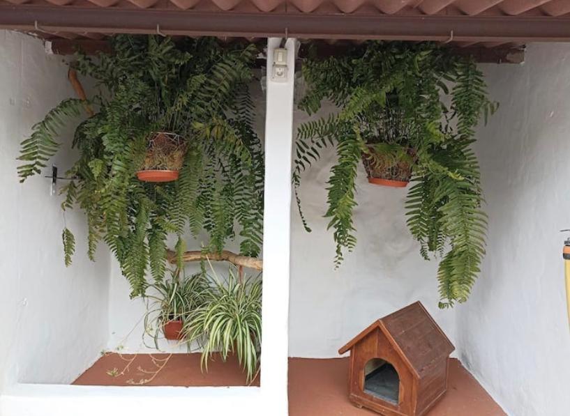 Casa Rural La Yedra San Mateo Arbejales Eksteriør billede