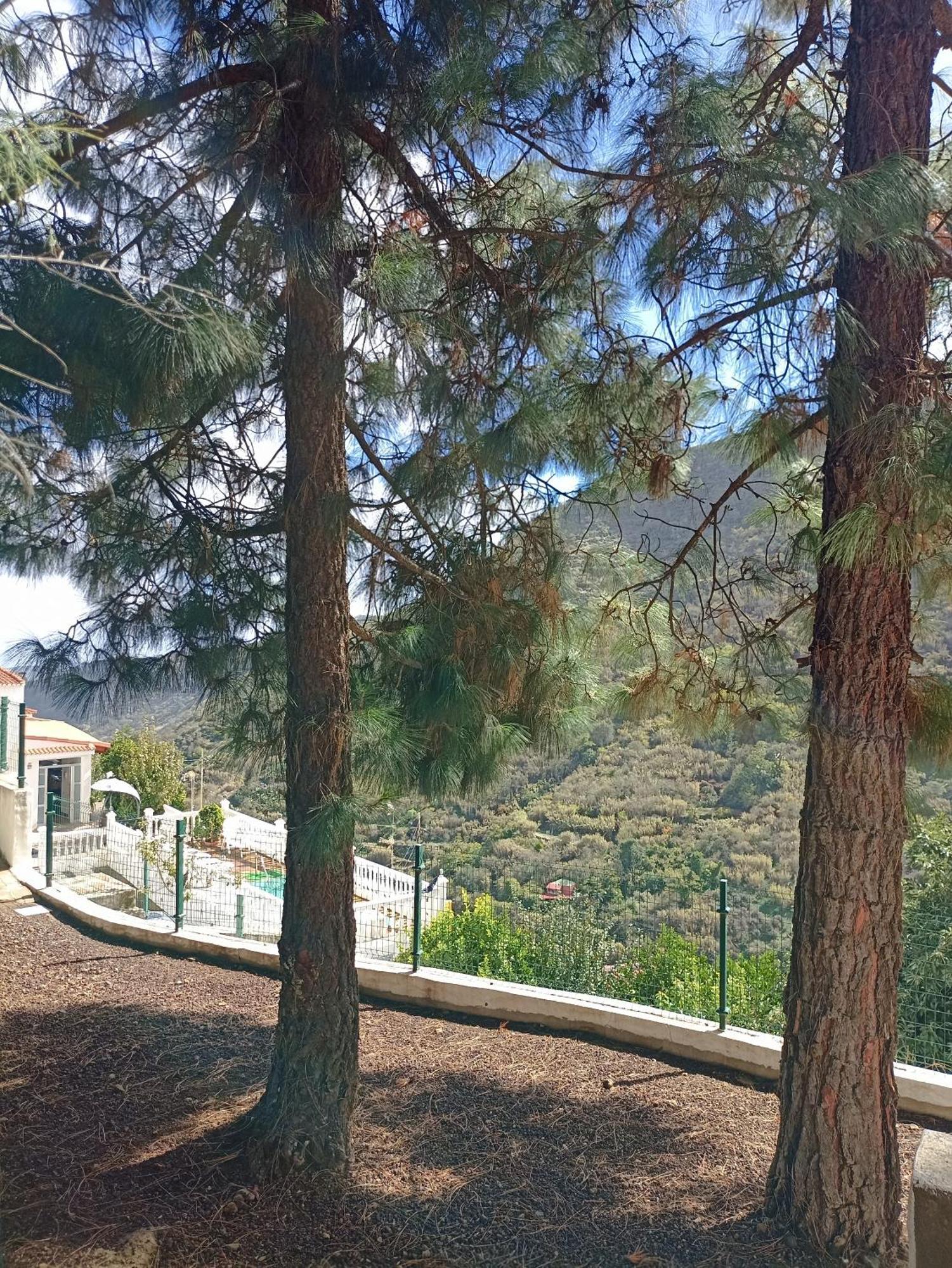 Casa Rural La Yedra San Mateo Arbejales Eksteriør billede