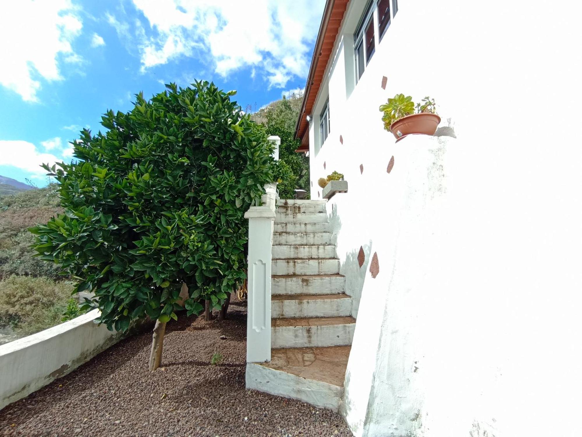 Casa Rural La Yedra San Mateo Arbejales Eksteriør billede