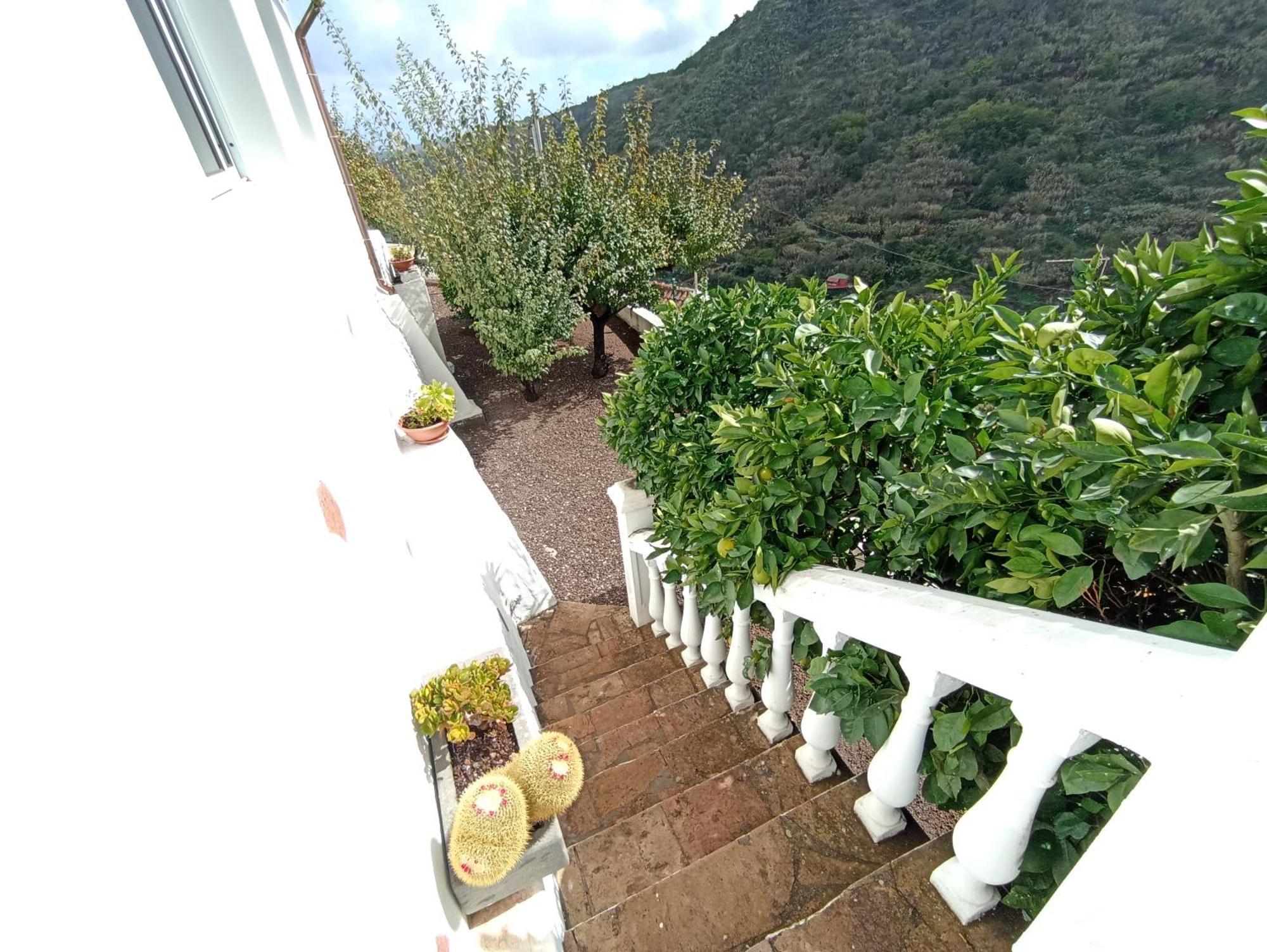 Casa Rural La Yedra San Mateo Arbejales Eksteriør billede